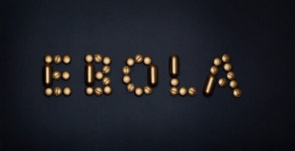 La Psicología en la crisis del Ébola 16 Ébola