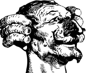 El síndrome de Munchausen 2 síndrome de MUNCHAUSEN