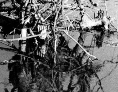 Reflejos y reflexiones 3 Reflejos