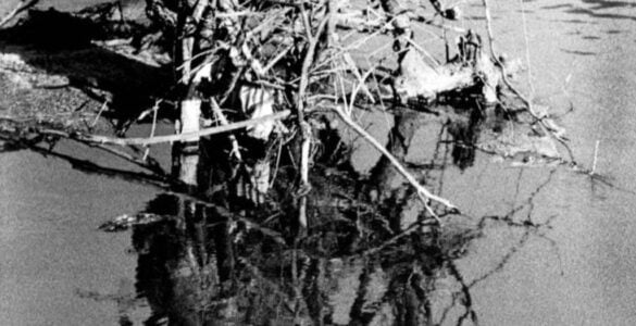 Reflejos y reflexiones 19 Reflejos