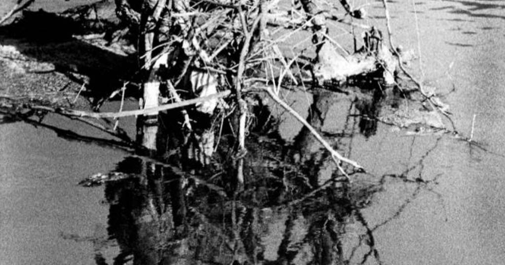 Reflejos