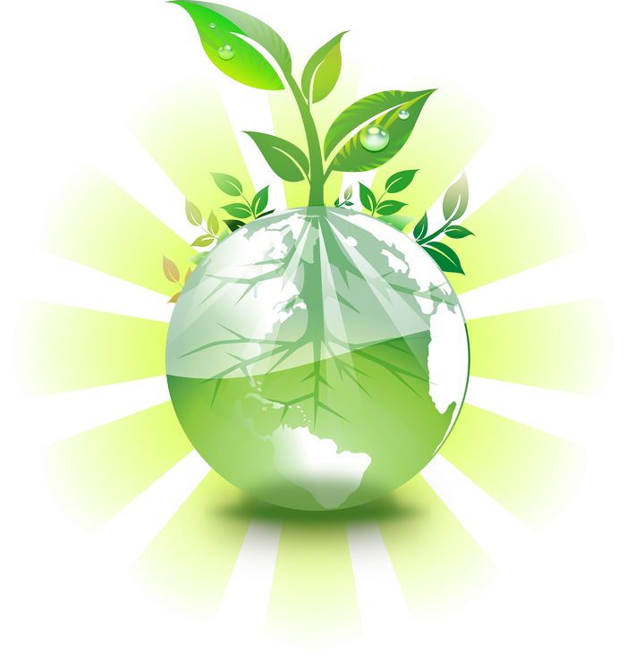 abanderados verdes