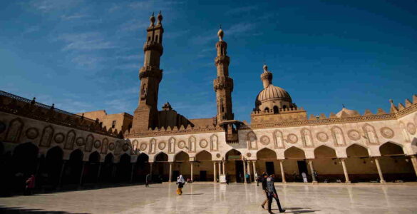 Amr Elwrdany y la Universidad de al-Azhar 15 Universidad de al-Azhar