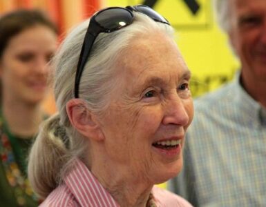 Jane Goodall