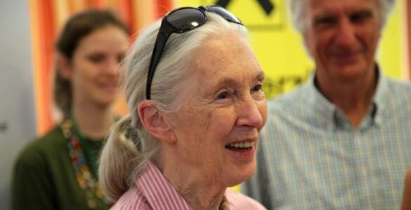 Jane Goodall