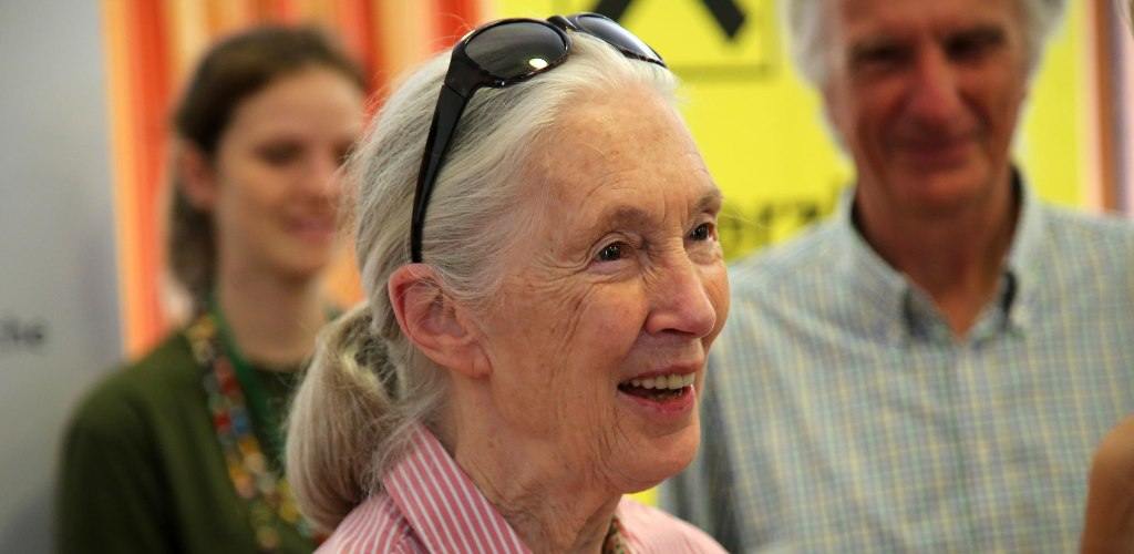 Jane Goodall