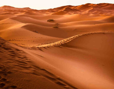 desierto
