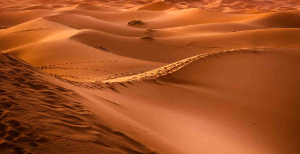 La misión del ser humano es convertirse en Desierto 1 desierto