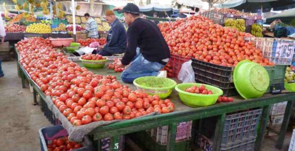 ¿Existe otro Sahara? 92 Agadir 1