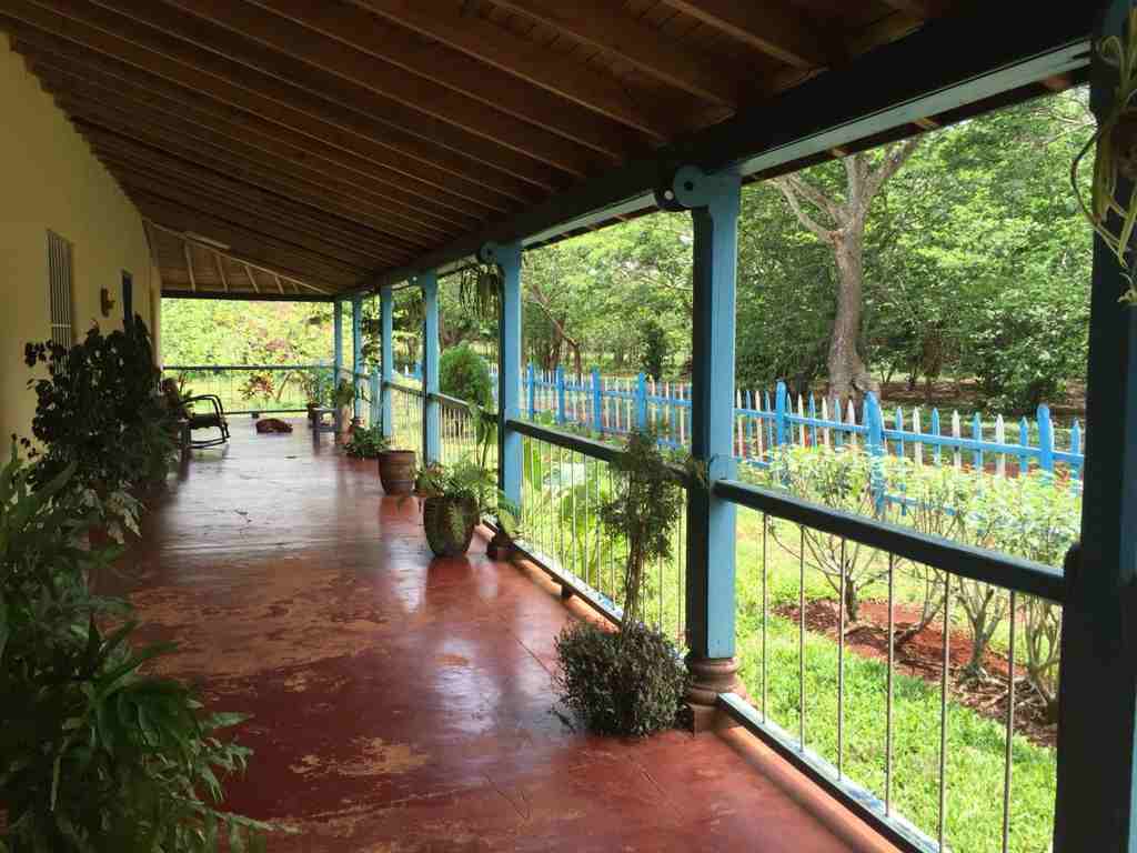 Cafetal La Dionisia