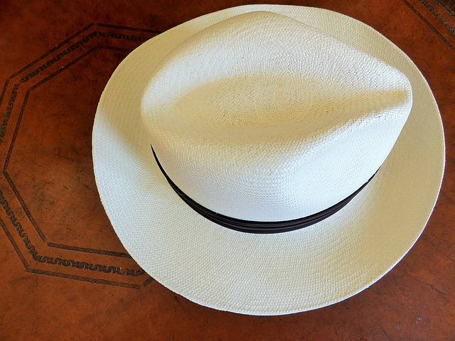 sombrero panamá