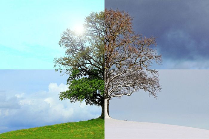 ecología
