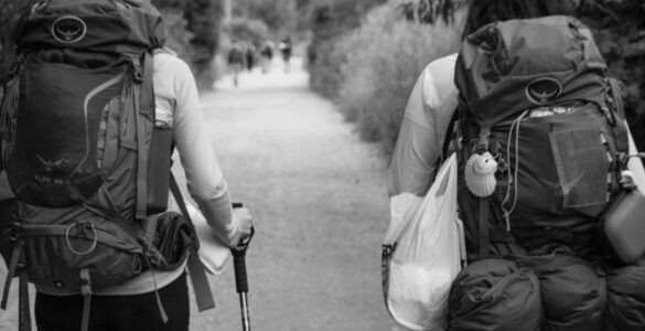 2021, nuevas oportunidades para perderte 2 Camino de Santiago
