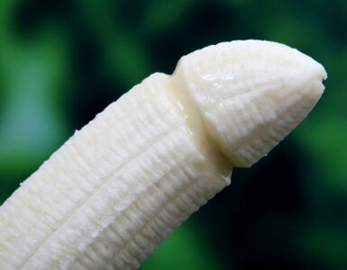Un divertimento inteligente alrededor del sexo 3 Sexo