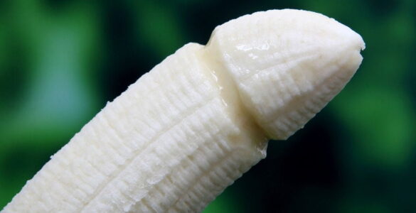 Un divertimento inteligente alrededor del sexo 11 Sexo
