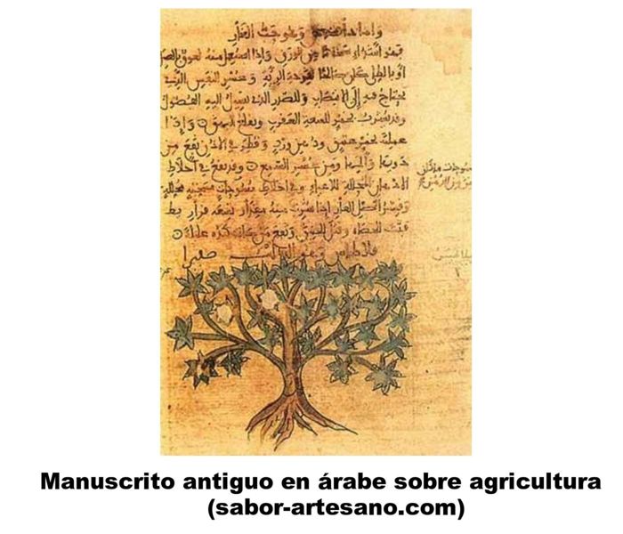 manuscrito arabe sobre agricultura