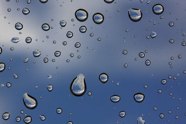 Microcosmos
