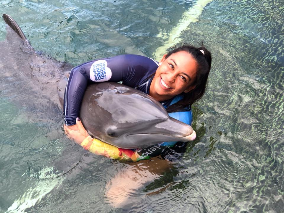 delfín delfines