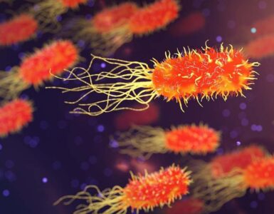 De los cazadores primitivos a las salidas a campo 3 Biología
