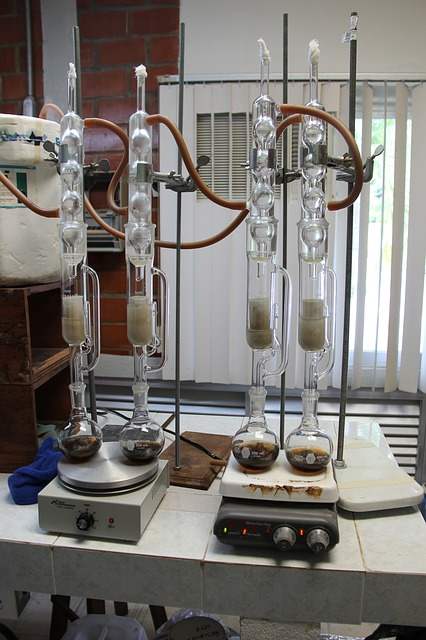 Laboratorio biología