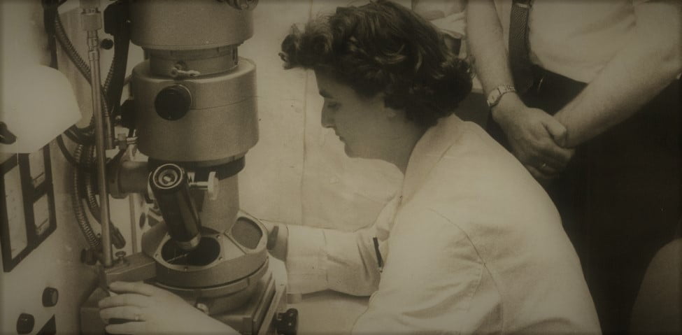 June Almeida