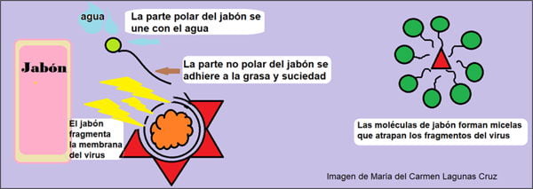 Jabón