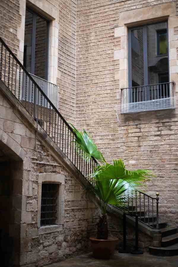 Un paseo cervantino por Barcelona 25 Foto 24