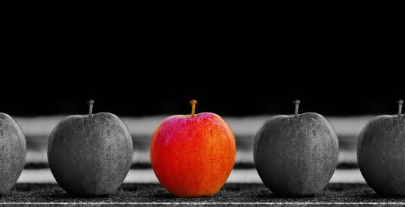individualidad