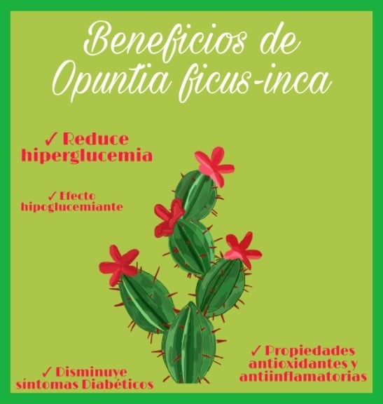 Nopal
