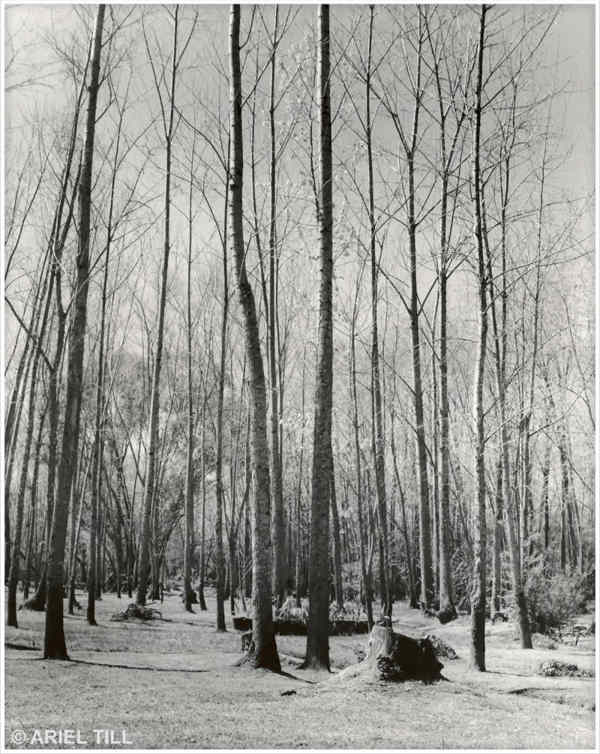 Fotos encontradas