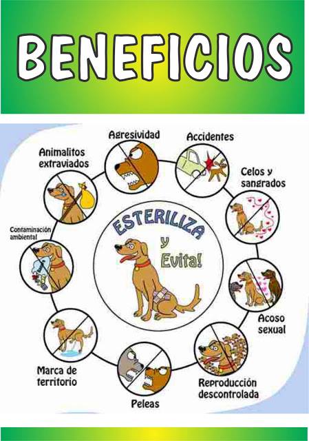 esterilizar