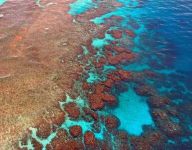 Gran Barrera de Coral