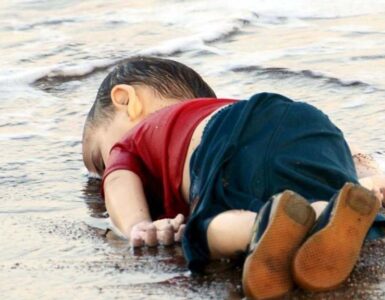 Las vacas, internet y los refugiados 3 Aylan Kurdi