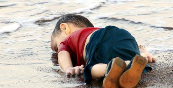 Las vacas, internet y los refugiados 18 Aylan Kurdi