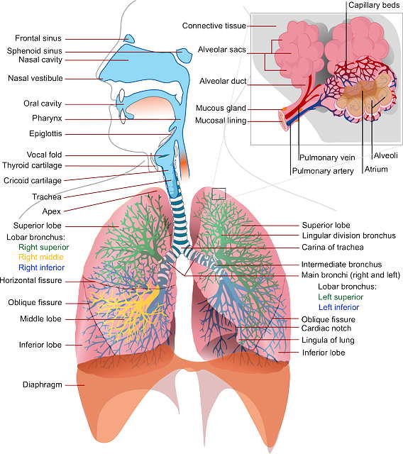 Respiración, estrés y meditación