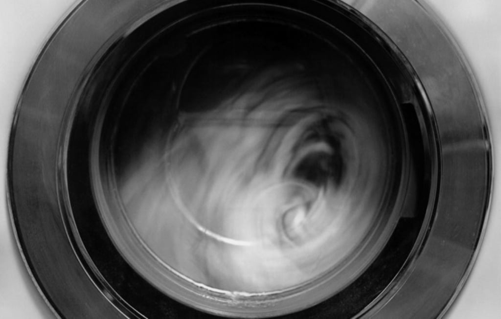 ciclo de vida de una foto