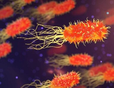 ¿Sabías que tu cuerpo siempre está lleno de bacterias? 2 Bacterias