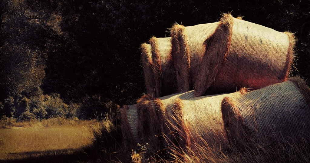 Balas de paja
