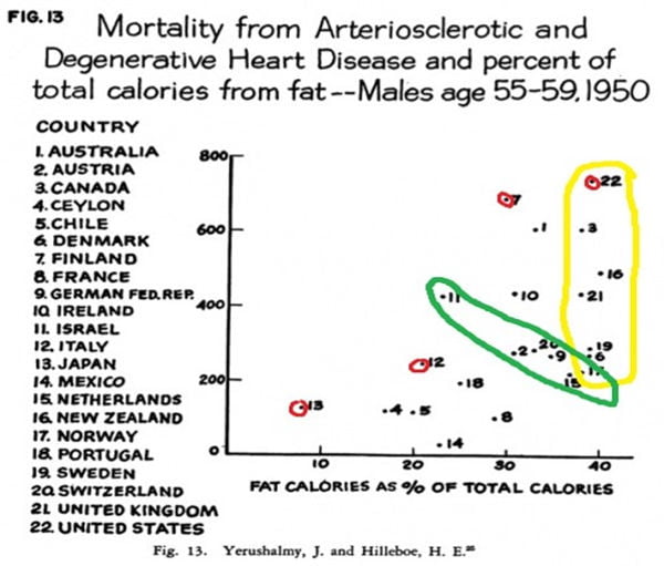enfermedades cardiovasculares