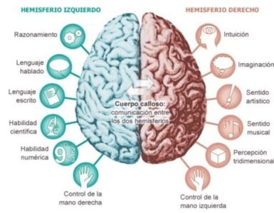 La imagen compartida 4 Hemisferio