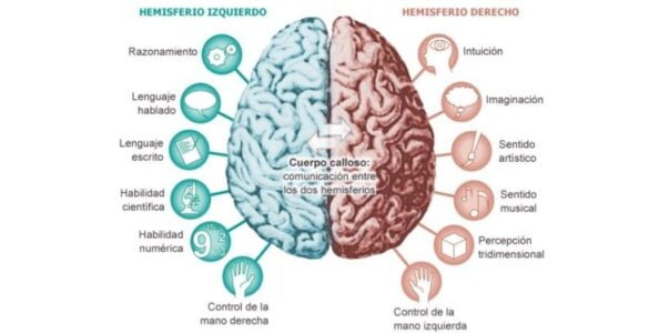 La imagen compartida 1 Hemisferio