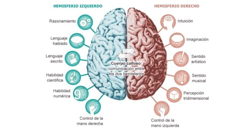 Hemisferio