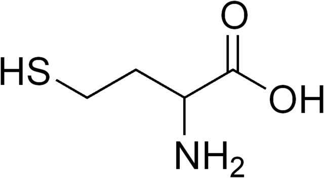 estructura química de la homocisteína