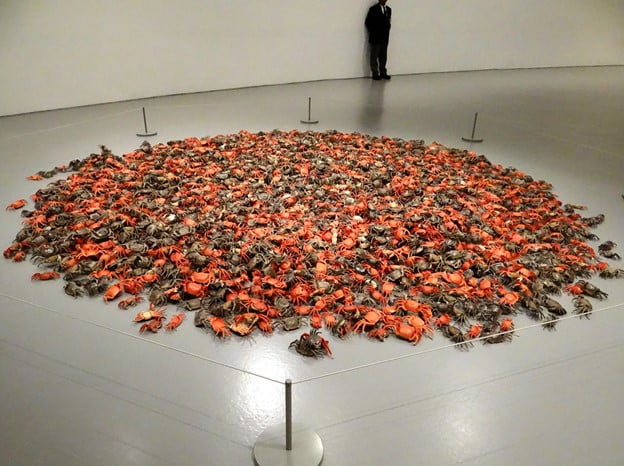 Ai Weiwei