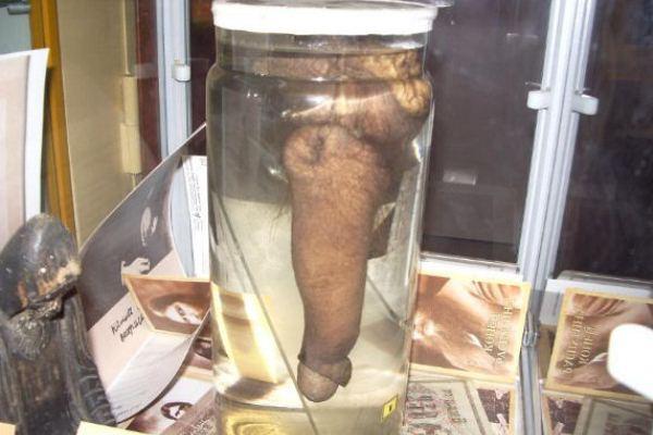 Pene de Rasputín Pene de Rasputín