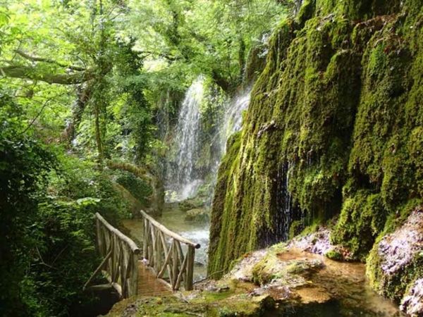 Naturaleza silvestre en el Monte Athos Naturaleza silvestre en el Monte Athos