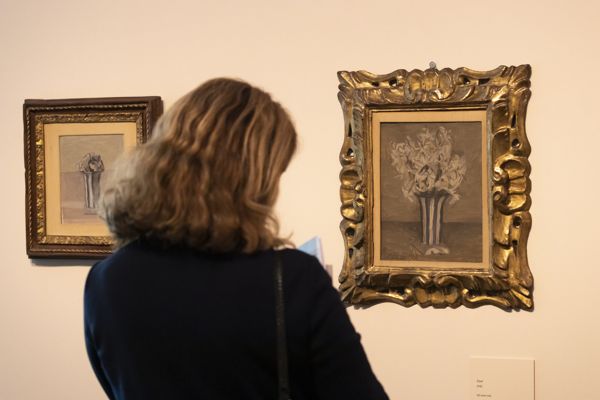 exposición de alto nivel