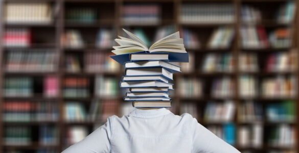 Consideraciones filológicas acerca de la crítica literaria 11 Crítica literaria