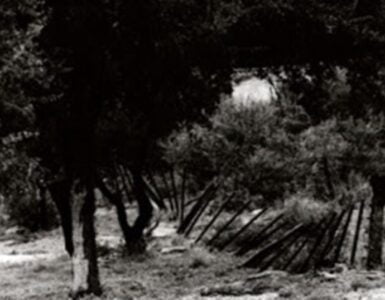 ¿Cuántas fotos sacaste? 4 Fotos 1