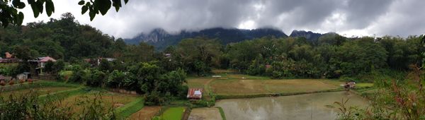 Tana Toraja